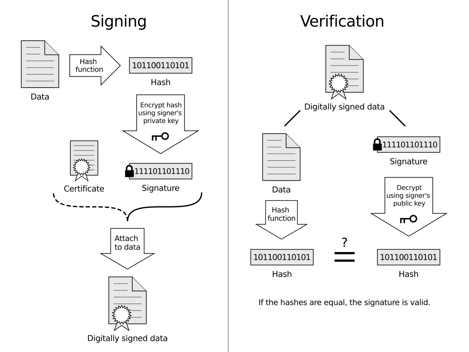 Diagramma schematico della firma digitale: a sinistra il mittente calcola l'hash del messaggio e lo firma con la chiave privata; a destra il destinatario verifica la firma con la chiave pubblica confrontando gli hash.
