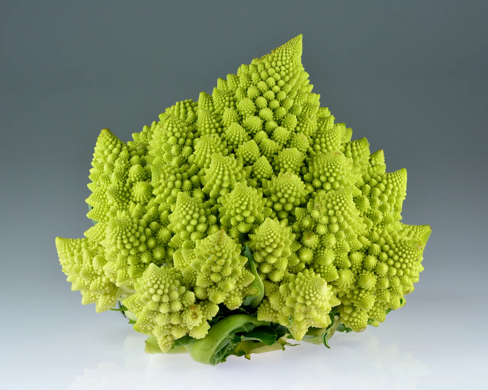 Close-up of a Romanesco broccoli: the self-similar fractal structure of its spiralling cones