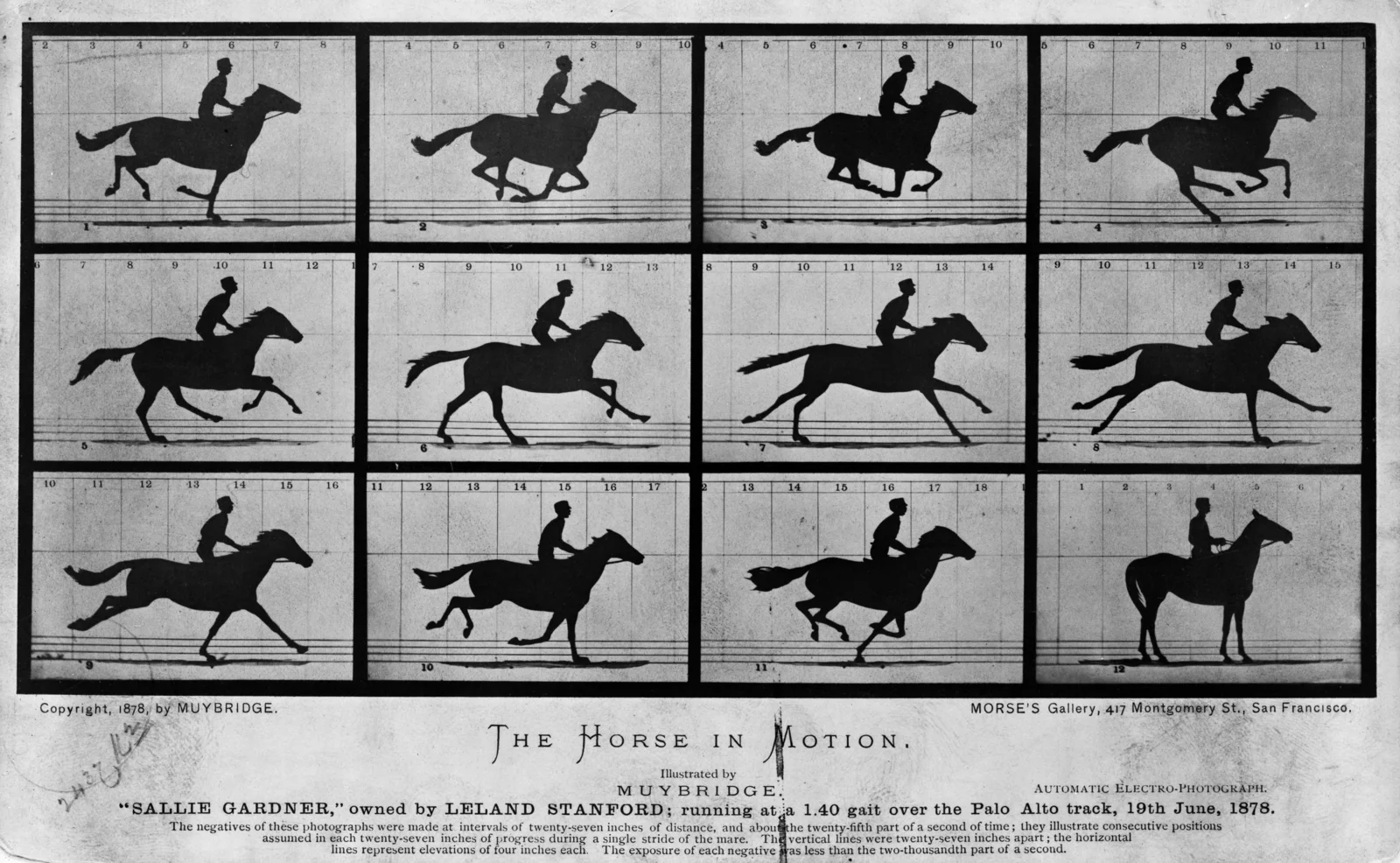 La tavola The Horse in Motion di Eadweard Muybridge del 1878: dodici fotografie in bianco e nero disposte su tre file mostrano un cavallo con fantino al galoppo contro uno sfondo a righe numerate. Nell'ultima il cavallo è fermo.
